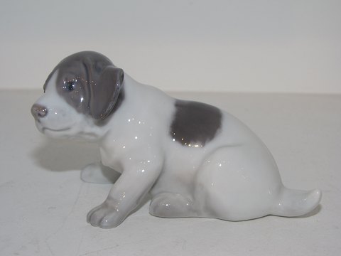 Royal Copenhagen figurPointer hvalp