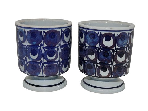 Aluminia TeneraKrus