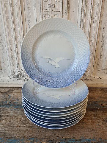 B&G Seagull without gold dinner plate no. 25