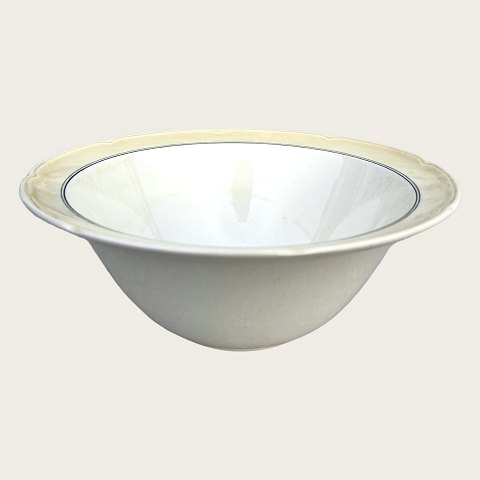 Aluminia: Poul