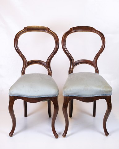 Set of 2 chairs - Rococo - Mahogany - Light blue fabric -1860sGreat condition