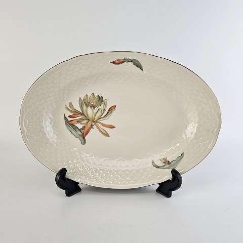 B&G ovalt fad18Kaktus25 cm