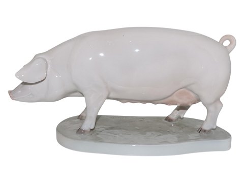 Other Animals<br>Royal ...