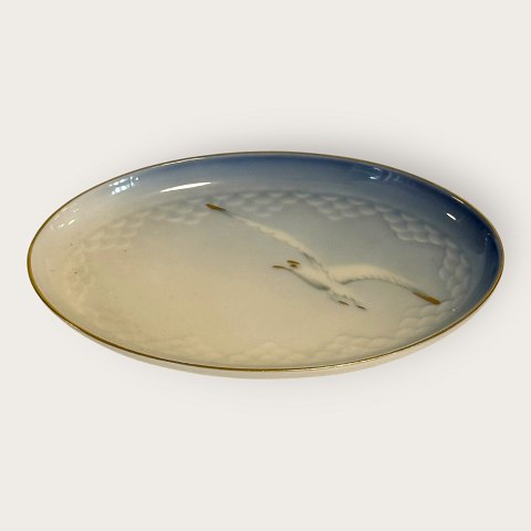 item no: 642404