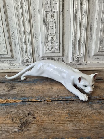 Porcelain and faience