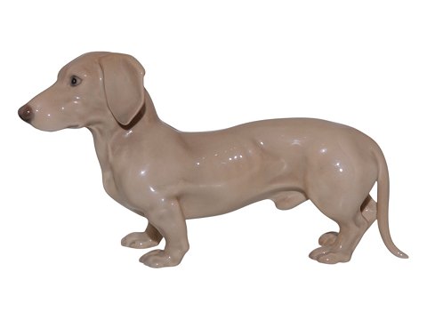 Hunde<br>Royal ...