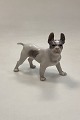 Royal Copenhagen Figurine Boston Terrier No. 1457