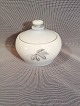 latest
new item latest
new item