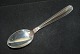 Dessert spoon / Lunch spoon Karina Silver