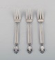 item no:
428628 item no:
428628