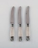 item no:
443465 item no:
443465
