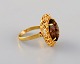 item no:
459188 item no:
459188