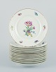 item no:
538907 item no:
538907