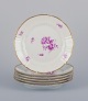 item no:
543739 item no:
543739