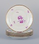 item no:
543742 item no:
543742