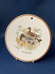 Jagtstellet Mads Stage Butter piece / plate, Atlingand 16 cm.(Anas Querquedula)