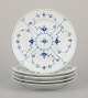 item no: 
562549