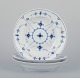 item no: 
562983