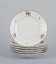 item no: 
566069