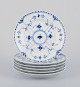 item no: 
573135