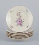 item no:
575917 item no:
575917