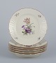 item no:
575918 item no:
575918