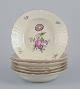 item no:
575919 item no:
575919