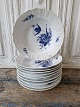 latest 
new item