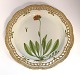 Royal Copenhagen. Flora Danica. Round serving plate with open-work border. Model # 3528. Diameter 33 cm. (1 quality). Hieracium aurantiacum L