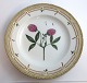 Royal Copenhagen Flora Danica. Dinner plate. Design # 3549. Diameter 25 cm. (1 quality). Trifolium alpestre Mill