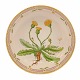 Royal Copenhagen Flora Danica rund skål #3505. "Leontodon hirtum Müll". År 1979-83. H: 6cm. D: 25cm