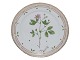 Flora DanicaLuncheon plate 22 cm. #3572