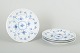 Royal 
Copenhagen
Musselmalet 
Riflet, 
sidetallerkener, 
...