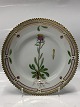 Flora DanicaCake plate 17 cm. #617"Erigeron uniflorus L.".