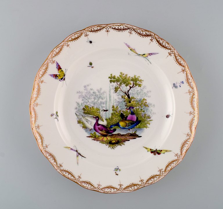 Antik og sjælden Meissen porcelænstallerken med håndmalede fugle, insekter og gulddekoration. 1800-tallet.