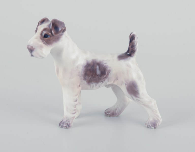 Dahl Jensen, porcelænsfigur af Foxterrier.