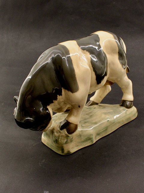 Bornholm Soholm bull