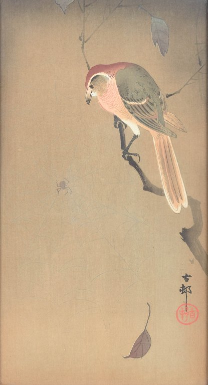 Ohara Koson (1877–1945), The Bird and the Spider.Japan